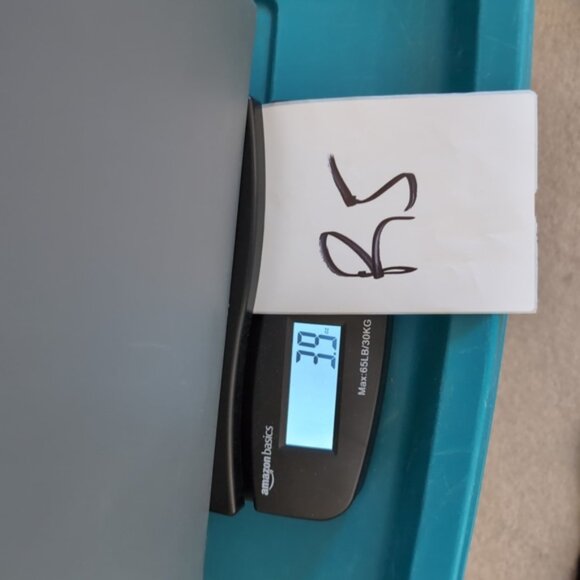 Vintage La Senza Coquette Fairy Y2K Sabrina Carpenter Babydoll Slip M - Picture 5 of 5